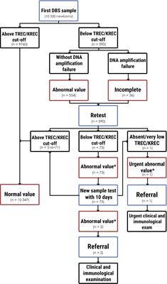 Newborn screening for severe combined immunodeficiency: The results of the first pilot TREC and KREC study in Ukraine with involving of 10,350 neonates